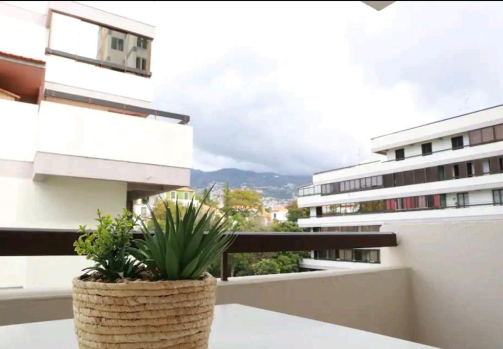 Vista Infante Apartments 丰沙尔 外观 照片